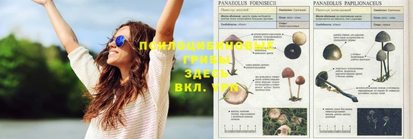 гашишное масло Алексеевка