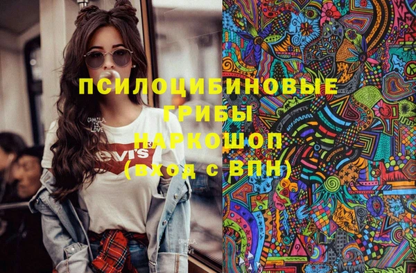 МДПВ Абдулино