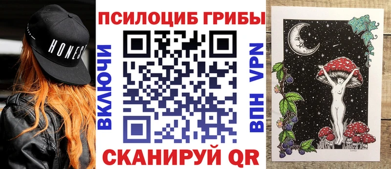 что такое   Среднеколымск  Псилоцибиновые грибы Psilocybe 
